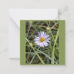 Humble daisy foto notitiekaartje
