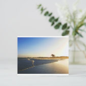 Humboldt Bay Eureka Ca. 2 Briefkaart (Staand voorkant)