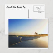 Humboldt Bay Eureka Ca. 2 Briefkaart (Voorkant / Achterkant)