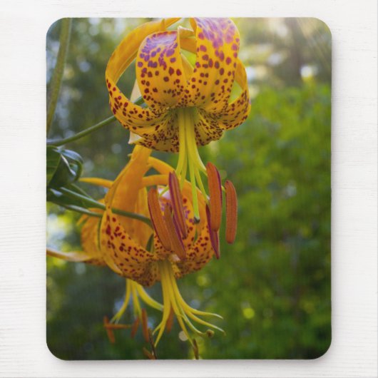 Humboldt Lelies Sunburst Muismat (Voorkant)