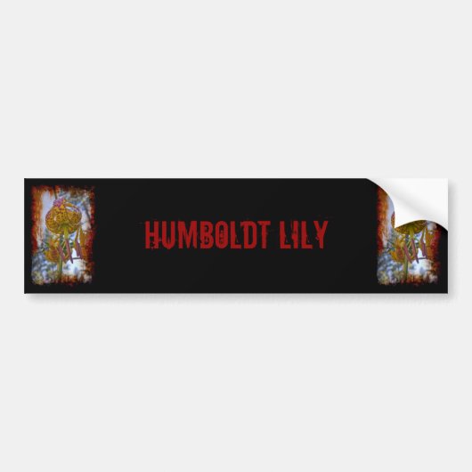 Humboldt Lily Bumpersticker (Voorkant)