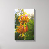 Humboldt Lily Canvas Afdruk (Voorkant)