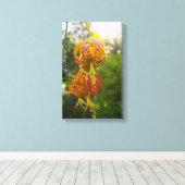 Humboldt Lily Canvas Afdruk (Insitu (Houten vloer))