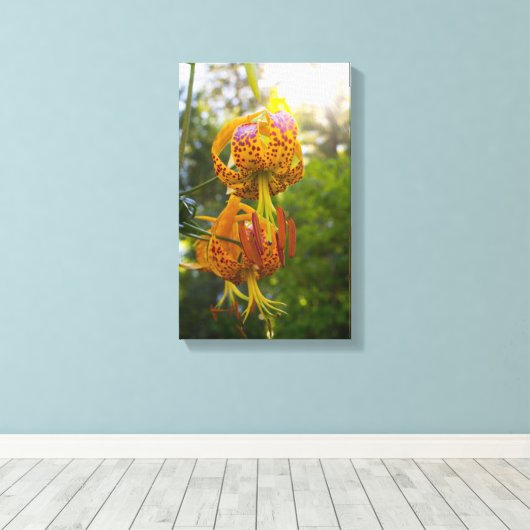 Humboldt Lily Canvas Afdruk (Insitu (Houten vloer))