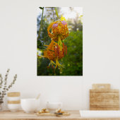 Humboldt Lily Poster (Keuken)