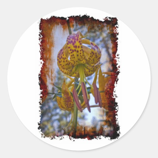 Humboldt Lily Ronde Sticker (Voorkant)