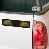 Humboldt Lily Stamens Bumpersticker (Op Truck)