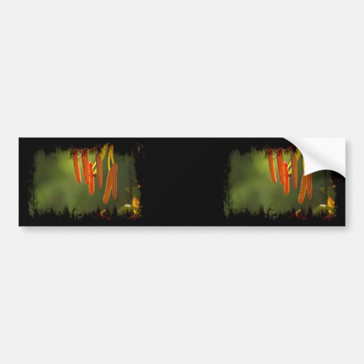 Humboldt Lily Stamens Bumpersticker (Voorkant)