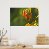Humboldt Lily Stamens Poster (Keuken)