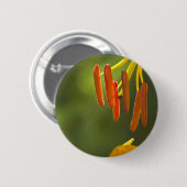 Humboldt Lily Stamens Ronde Button 5,7 Cm (Voorkant /achterkant)