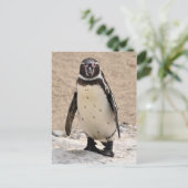 Humboldt Penguin Briefkaart (Staand voorkant)