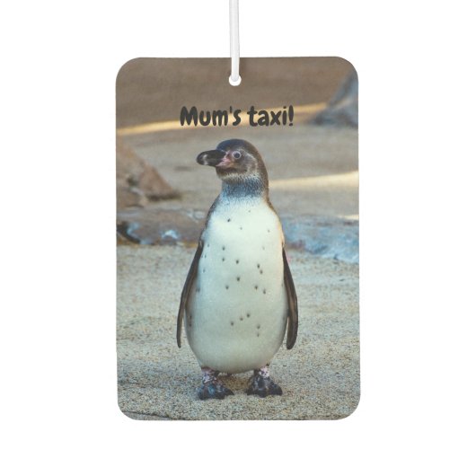 Humboldt Penguin Car air freshener Luchtverfrisser (Voorkant)