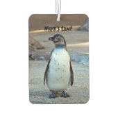 Humboldt Penguin Car air freshener Luchtverfrisser (Achterkant)