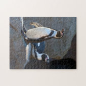 Humboldt Penguin Jigzaag puzzle Legpuzzel (Horizontaal)