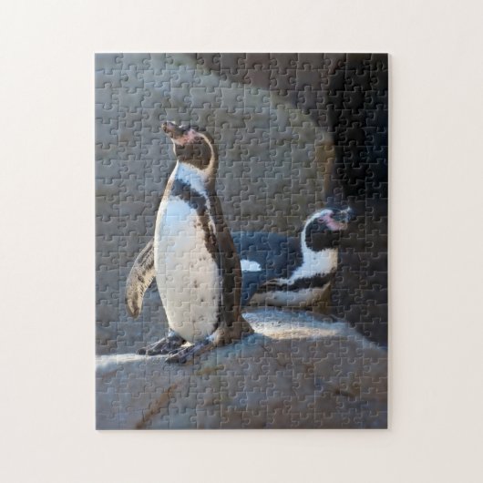 Humboldt Penguin Jigzaag puzzle Legpuzzel (Verticaal)