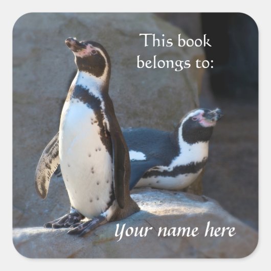 Humboldt Penguins "Dit boek behoort tot" Sticker (Voorkant)