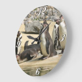 Humboldt Penguins, klok (Hoek)