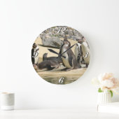 Humboldt Penguins, klok (Huis)