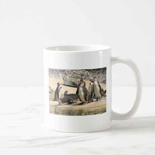 Humboldt Penguins Koffiemok (Rechts)