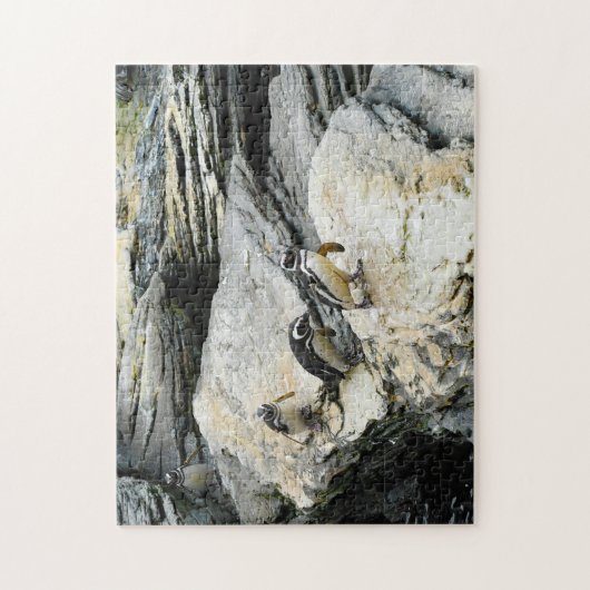 Humboldt Penguins. Legpuzzel (Verticaal)