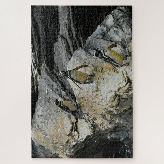 Humboldt Penguins. Legpuzzel (Verticaal)