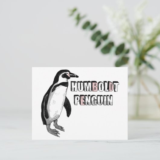 Humboldt pinguïn briefkaart (Staand voorkant)
