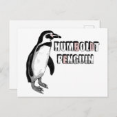 Humboldt pinguïn briefkaart (Voorkant / Achterkant)
