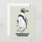 Humboldt pinguïn briefkaart (Voorkant / Achterkant)