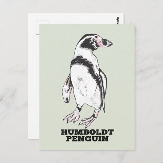 Humboldt pinguïn briefkaart (Voorkant / Achterkant)