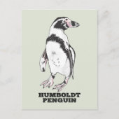 Humboldt pinguïn briefkaart (Voorkant)