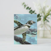 Humboldt pinguïn onder water briefkaart (Staand voorkant)