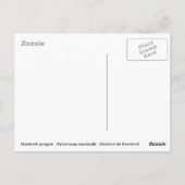 Humboldt pinguïn onder water briefkaart (Achterkant)