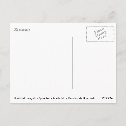 Humboldt pinguïn onder water briefkaart (Achterkant)