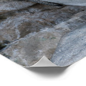 Humboldt-pinguïn Poster (Hoek)