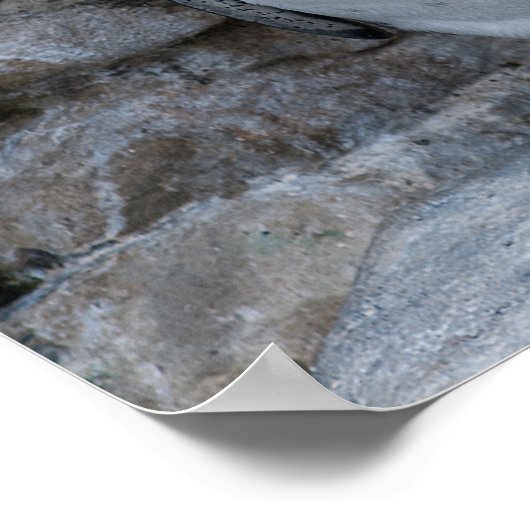 Humboldt-pinguïn Poster (Hoek)