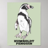 Humboldt pinguïn poster (Voorkant)