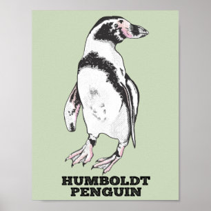 Humboldt pinguïn poster