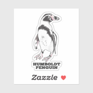 Humboldt pinguïn sticker