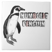Humboldt pinguïn tegeltje (Voorkant)