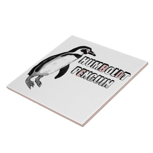 Humboldt pinguïn tegeltje (Zijkant)