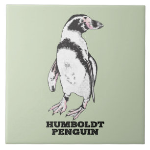 Humboldt pinguïn tegeltje