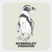 Humboldt pinguïn vierkante sticker (Voorkant)