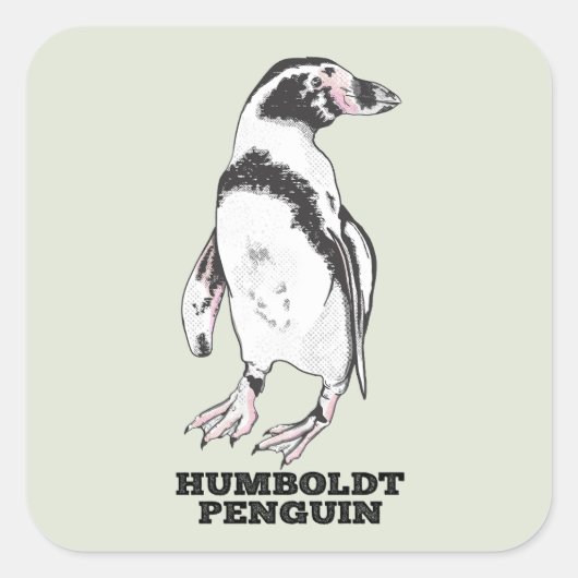 Humboldt pinguïn vierkante sticker (Voorkant)