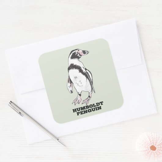 Humboldt pinguïn vierkante sticker (Envelop)