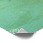 Humboldt pinguïns en fonteinen poster (Hoek)