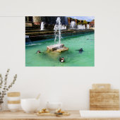 Humboldt pinguïns en fonteinen poster (Keuken)