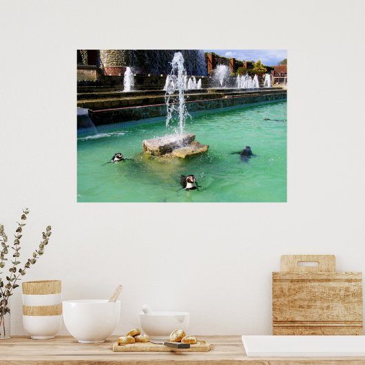 Humboldt pinguïns en fonteinen poster (Keuken)