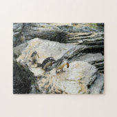 Humboldt Pinguïns. Legpuzzel (Horizontaal)