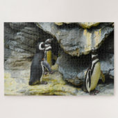 Humboldt Pinguïns. Legpuzzel (Horizontaal)