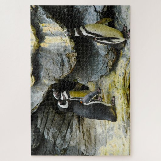 Humboldt Pinguïns. Legpuzzel (Verticaal)